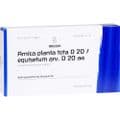 ARNICA PLANTA tota D 20/Equisetum arv.D 20 aa Amp. – Bild 3