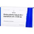 ARNICA PLANTA tota D 20/Equisetum arv.D 20 aa Amp. – Bild 4