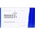 BETONICA D 3/Rosmarinus D 3 Ampullen – Bild 1