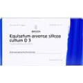 EQUISETUM ARVENSE Silicea cultum D 3 Ampullen – Bild 1