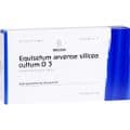 EQUISETUM ARVENSE Silicea cultum D 3 Ampullen – Bild 2