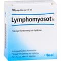 LYMPHOMYOSOT N Ampullen – Bild 2