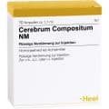 CEREBRUM COMPOSITUM NM Ampullen – Bild 2