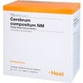 CEREBRUM COMPOSITUM NM Ampullen – Bild 3