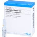 GALIUM HEEL N Ampullen – Bild 4