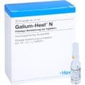 GALIUM HEEL N Ampullen – Bild 5