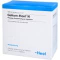 GALIUM HEEL N Ampullen – Bild 3