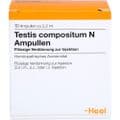 TESTIS COMPOSITUM N Ampullen – Bild 1