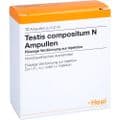 TESTIS COMPOSITUM N Ampullen – Bild 2