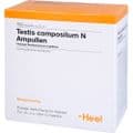 TESTIS COMPOSITUM N Ampullen – Bild 3