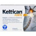 KELTICAN forte Kapseln – Bild 5