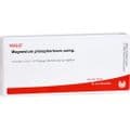 MAGNESIUM PHOSPHORICUM COMP.Ampullen – Bild 2