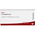 THYMUS/MERCURIUS Ampullen – Bild 3