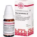 RHUS TOXICODENDRON D 6 Globuli – Bild 2