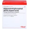 ATP Injeel forte Ampullen – Bild 1