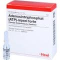 ATP Injeel forte Ampullen – Bild 3