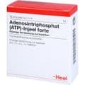 ATP Injeel forte Ampullen – Bild 5