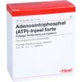 ATP Injeel forte Ampullen – Bild 2