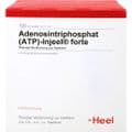 ATP Injeel forte Ampullen – Bild 1