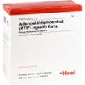 ATP Injeel forte Ampullen – Bild 2