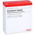 CORTISON Injeel Ampullen – Bild 2