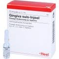 GINGIVA SUIS Injeel Ampullen – Bild 3