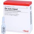 OS SUIS Injeel Ampullen – Bild 3