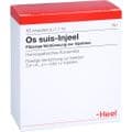 OS SUIS Injeel Ampullen – Bild 2