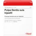 PULPA DENTIS SUIS Injeel Ampullen – Bild 1