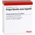 PULPA DENTIS SUIS Injeel Ampullen – Bild 2