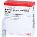 HERPES ZOSTER Nosode Injeel Ampullen – Bild 3