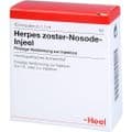 HERPES ZOSTER Nosode Injeel Ampullen – Bild 5