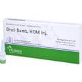 DISCI Bamb HOM 1 ml Injektionslösung – Bild 2