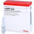CAMP D 30 Ampullen – Bild 3