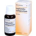 LEPTANDRA COMPOSITUM Tropfen – Bild 3