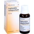 LEPTANDRA COMPOSITUM Tropfen – Bild 4