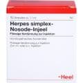 HERPES SIMPLEX Nosode Injeel Ampullen – Bild 1