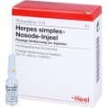 HERPES SIMPLEX Nosode Injeel Ampullen – Bild 3