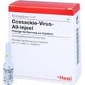 COXSACKIE-Virus A9 Injeel Ampullen – Bild 3