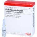 ECHINACEA INJEEL Ampullen – Bild 4