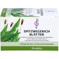 SPITZWEGERICHBLÄTTER Filterbeutel – Bild 2