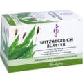 SPITZWEGERICHBLÄTTER Filterbeutel – Bild 3