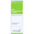 INFI CHELIDONIUM N Tropfen – Bild 1