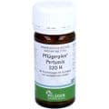 PFLÜGERPLEX Pertussis 320 H Tabletten – Bild 6