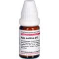 APIS MELLIFICA D 12 Globuli – Bild 5