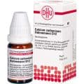 CALCIUM CARBONICUM Hahnemanni D 12 Globuli – Bild 2