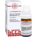 CALCIUM CARBONICUM Hahnemanni D 12 Globuli – Bild 3