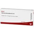 GLANDULA THYREOIDEA GL D 6 Ampullen – Bild 2