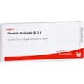 GLANDULA THYREOIDEA GL D 6 Ampullen – Bild 3
