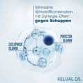 DUCRAY KELUAL DS Anti-Schuppen Shampoo – Bild 7